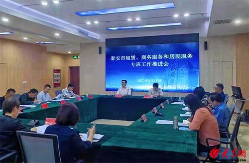 泰安市租賃、商務(wù)服務(wù)和居民服務(wù)專班工作推進會召開 聚焦軟件開發(fā)與應(yīng)用